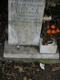 image of grave number 267860